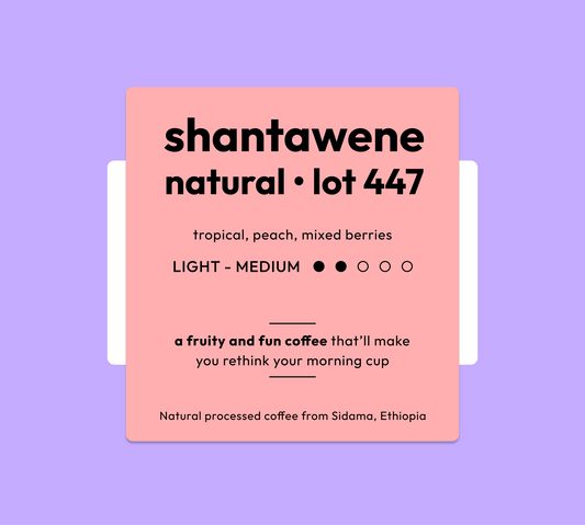 Ethiopia Shantawene Natural